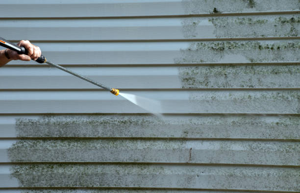 Best Factory Floor Cleaning  in Montgomery, MN